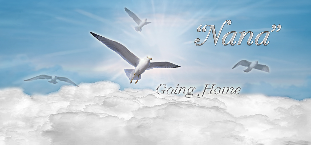 Going Home Blue (Nana) PROOF